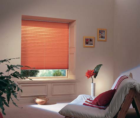 Pleated Blinds 2