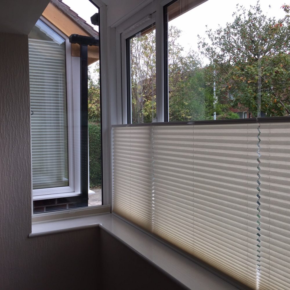 Pleated Blinds